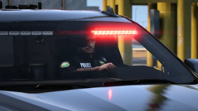 Patrol unit with its lightbar lit