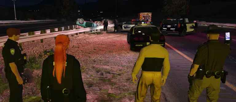 Night scene in a front yard