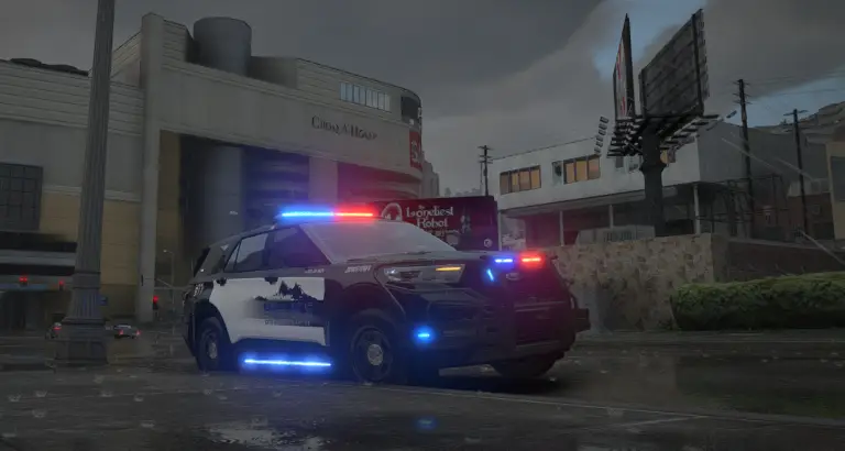 Patrol cars at night