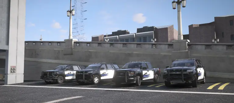 Line of patrol cars